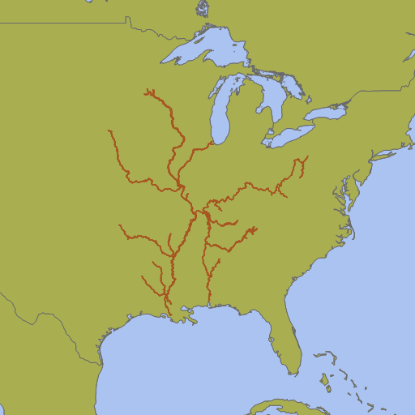 Picture of IENC USA